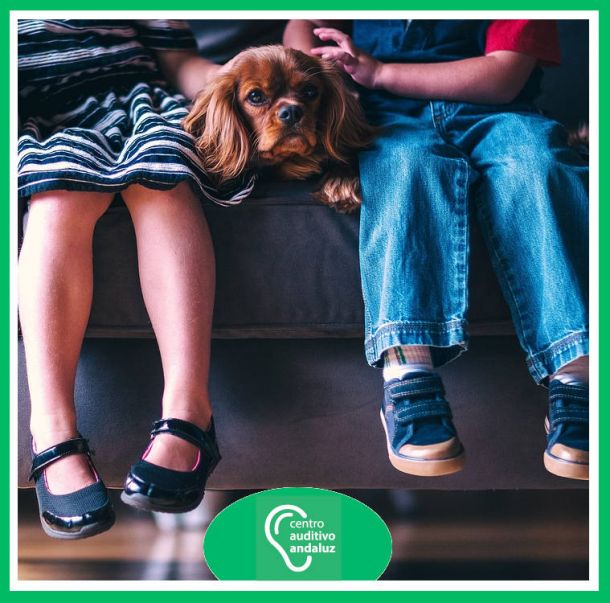 Pérdida auditiva infantil